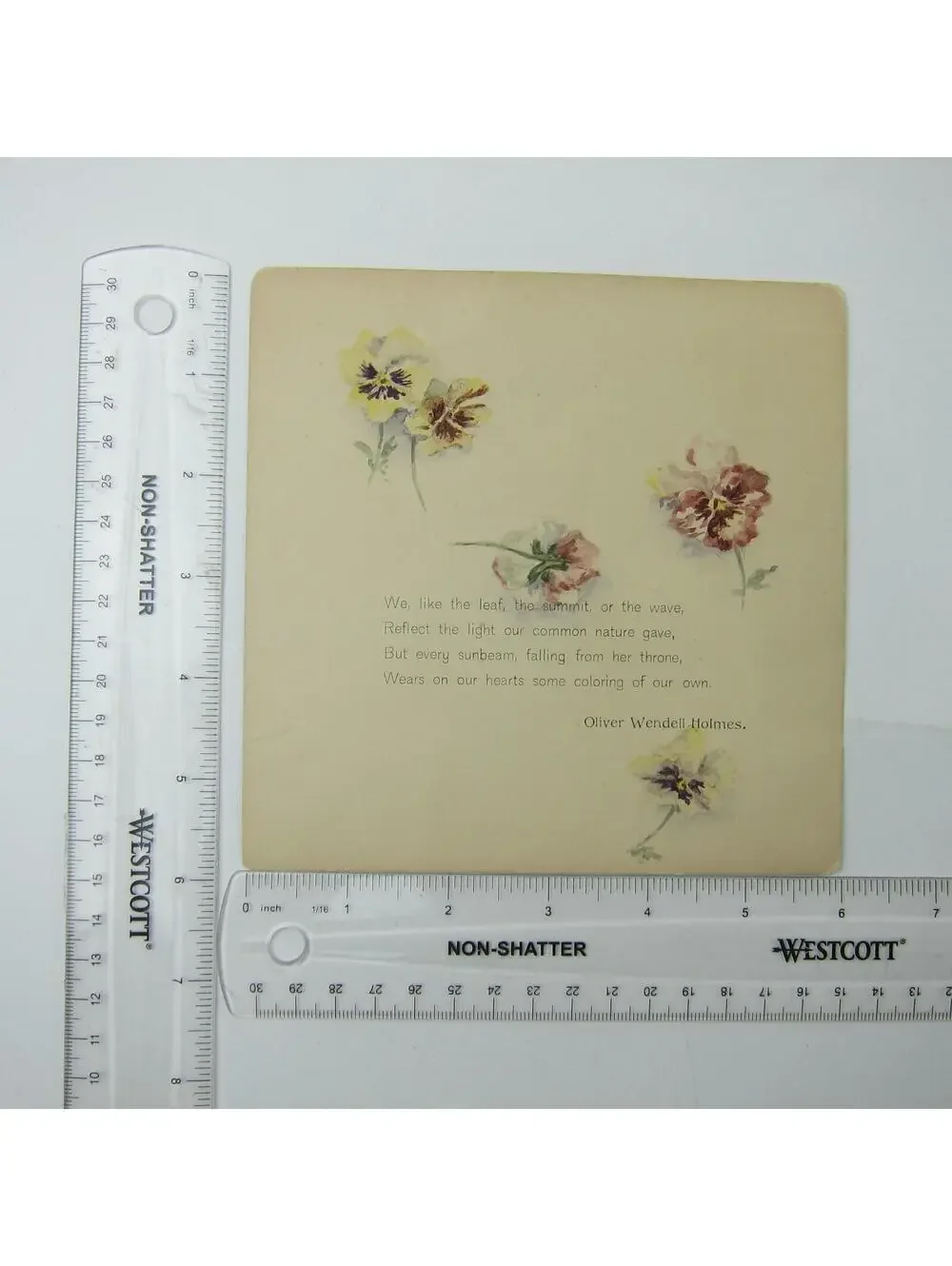 Antique Card Pansies Yellow Purple Pink Pansy Flowers Poem Oliver Wendell Holmes